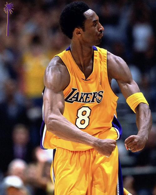 科比被高估？数据铁王实锤